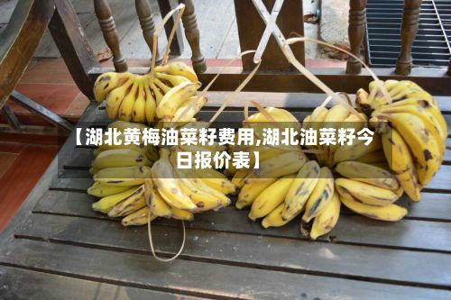 【湖北黄梅油菜籽费用,湖北油菜籽今日报价表】-第2张图片