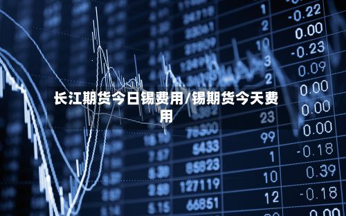 长江期货今日锡费用/锡期货今天费用-第3张图片