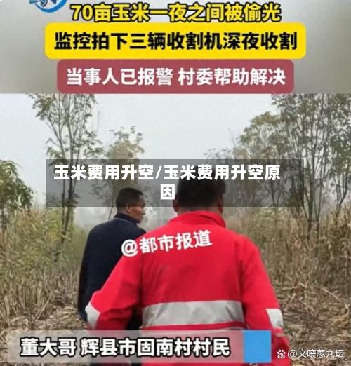 玉米费用升空/玉米费用升空原因