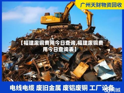 【福建废铜费用今日查询,福建废铜费用今日查询表】-第2张图片