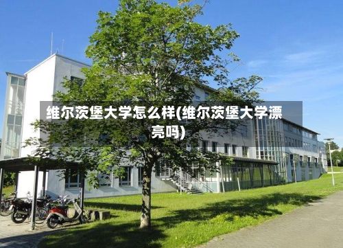 维尔茨堡大学怎么样(维尔茨堡大学漂亮吗)-第3张图片