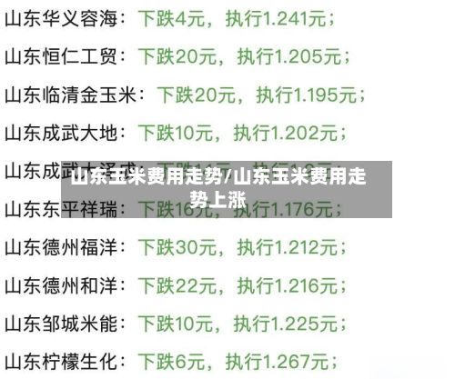 山东玉米费用走势/山东玉米费用走势上涨