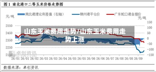 山东玉米费用走势/山东玉米费用走势上涨-第2张图片
