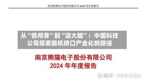 从“修颅骨”到“读大脑”：中国科技公司探索脑机接口产业化新路径-第3张图片