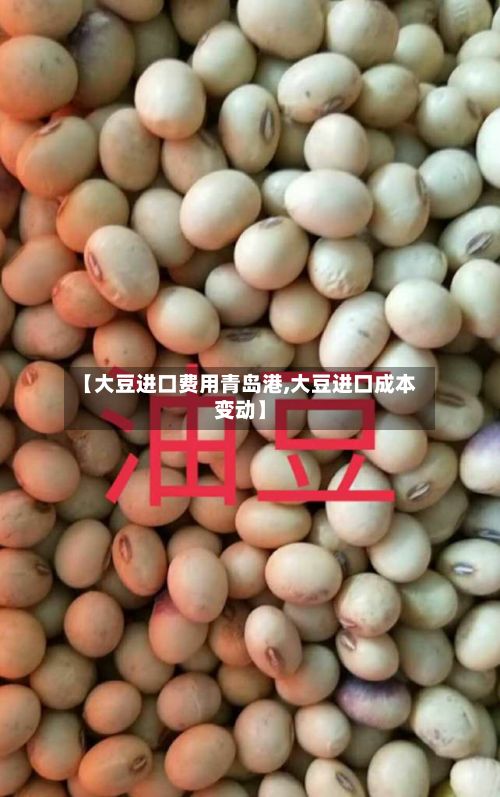 【大豆进口费用青岛港,大豆进口成本变动】