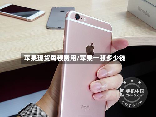 苹果现货每顿费用/苹果一顿多少钱-第2张图片