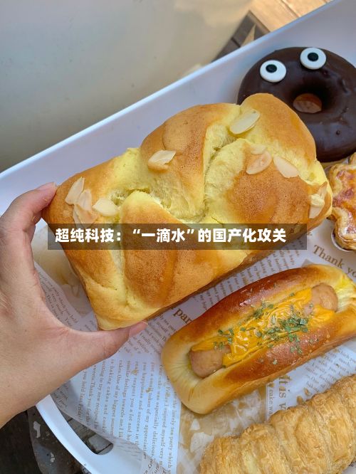 超纯科技：“一滴水”的国产化攻关-第3张图片
