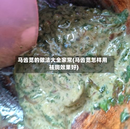 马齿苋的做法大全家常(马齿苋怎样用祛斑效果好)