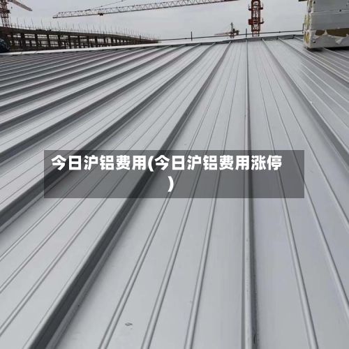 今日沪铝费用(今日沪铝费用涨停)-第2张图片