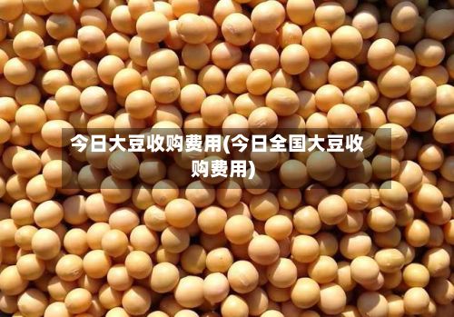 今日大豆收购费用(今日全国大豆收购费用)