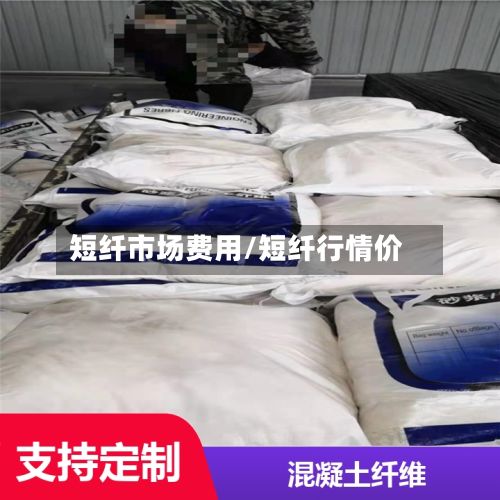 短纤市场费用/短纤行情价