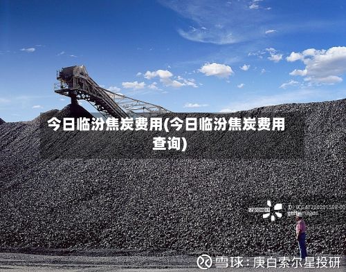 今日临汾焦炭费用(今日临汾焦炭费用查询)