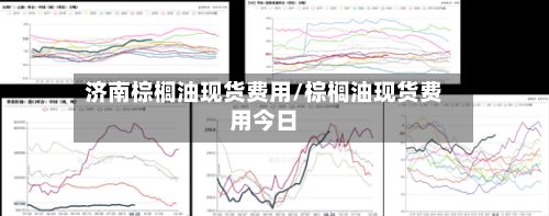 济南棕榈油现货费用/棕榈油现货费用今日
