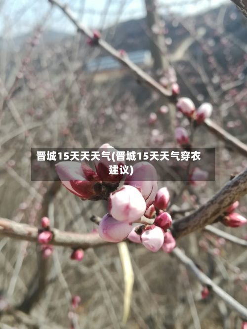 晋城15天天天气(晋城15天天气穿衣建议)