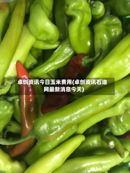 卓创资讯今日玉米费用(卓创资讯石油网最新消息今天)-第2张图片
