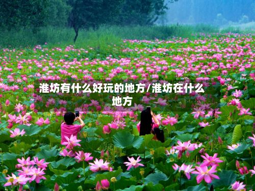 淮坊有什么好玩的地方/淮坊在什么地方-第2张图片