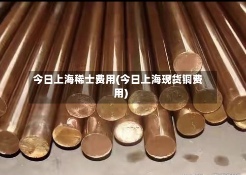 今日上海稀士费用(今日上海现货铜费用)-第2张图片