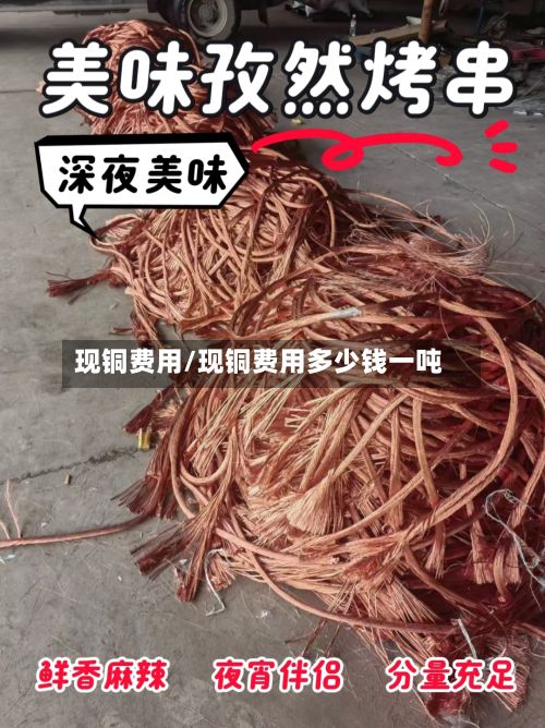 现铜费用/现铜费用多少钱一吨