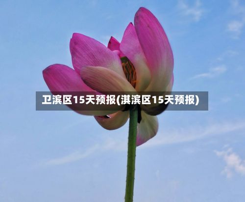 卫滨区15天预报(淇滨区15天预报)