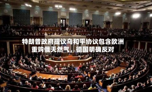 特朗普政府提议乌和平协议包含欧洲重购俄天然气，德国明确反对-第2张图片