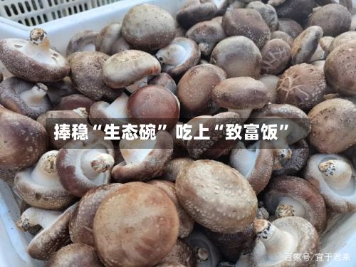 捧稳“生态碗” 吃上“致富饭”-第3张图片
