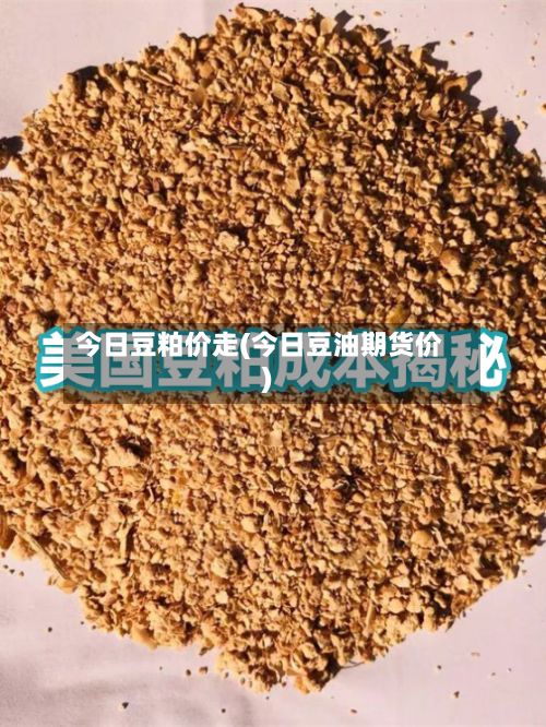 今日豆粕价走(今日豆油期货价)