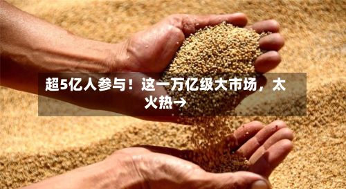 超5亿人参与！这一万亿级大市场，太火热→-第2张图片