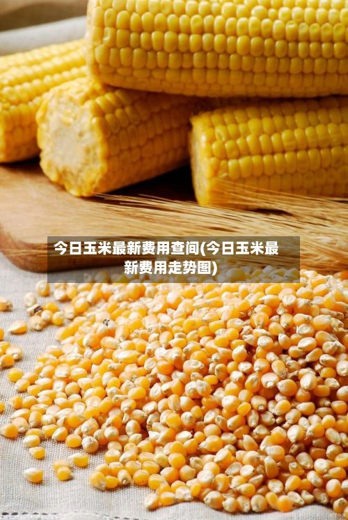 今日玉米最新费用查间(今日玉米最新费用走势图)
