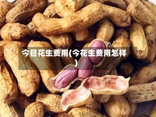 今目花生费用(今花生费用怎样)