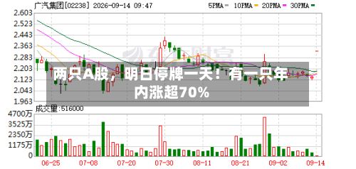 两只A股，明日停牌一天！有一只年内涨超70%-第2张图片