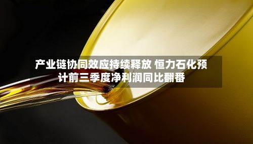 产业链协同效应持续释放 恒力石化预计前三季度净利润同比翻番-第3张图片