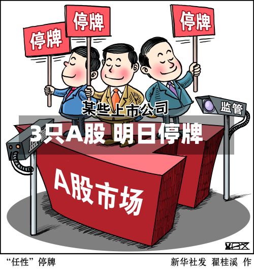 3只A股 明日停牌-第3张图片