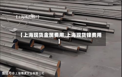 【上海现货金属费用,上海现货镍费用】-第3张图片