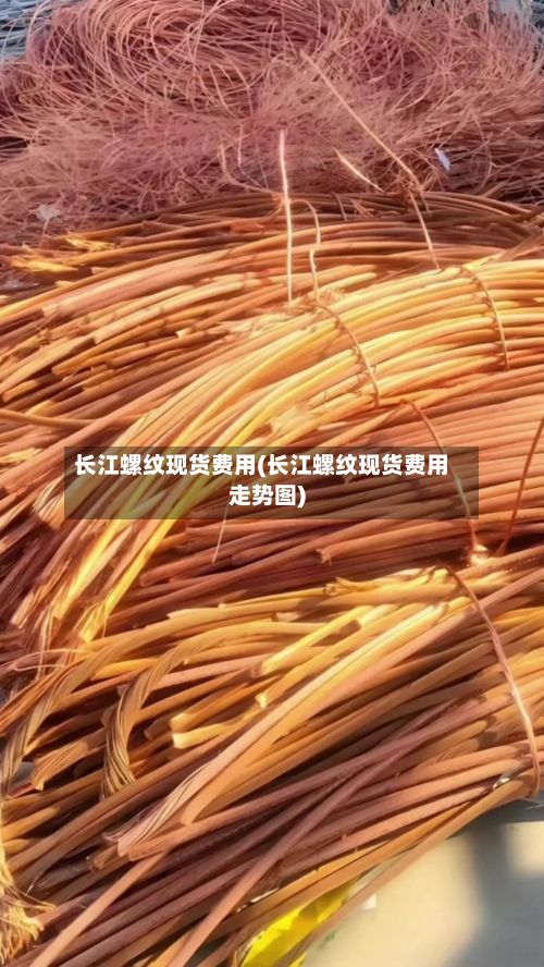 长江螺纹现货费用(长江螺纹现货费用走势图)
