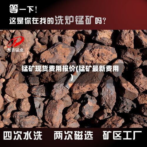 锰矿现货费用报价(锰矿最新费用)