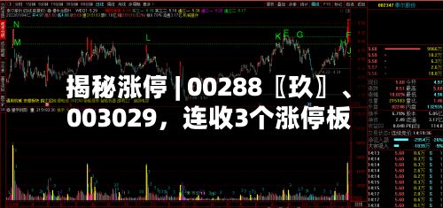 揭秘涨停 | 00288〖玖〗、003029	，连收3个涨停板-第1张图片