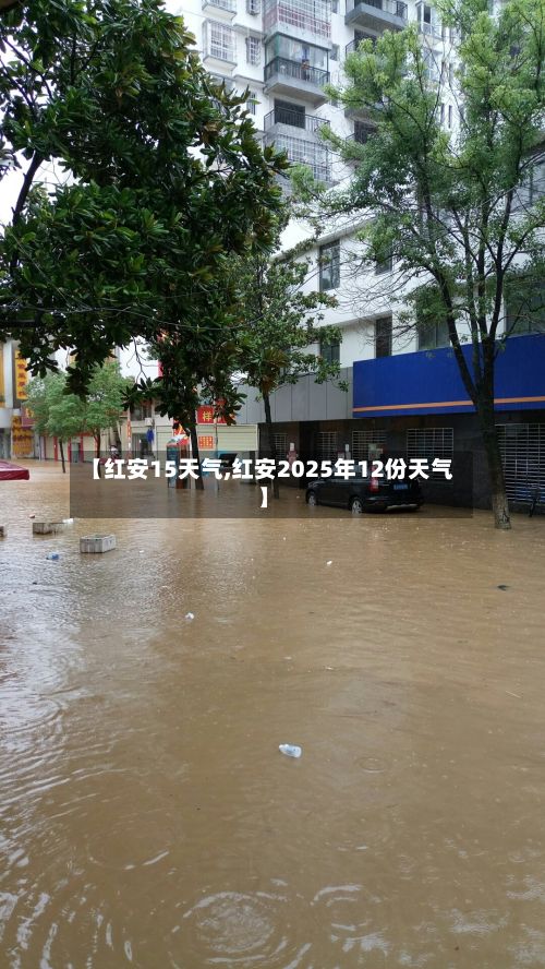 【红安15天气,红安2025年12份天气】-第3张图片
