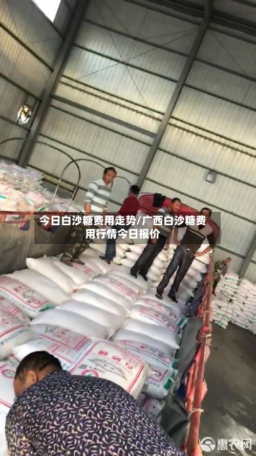 今日白沙糖费用走势/广西白沙糖费用行情今日报价