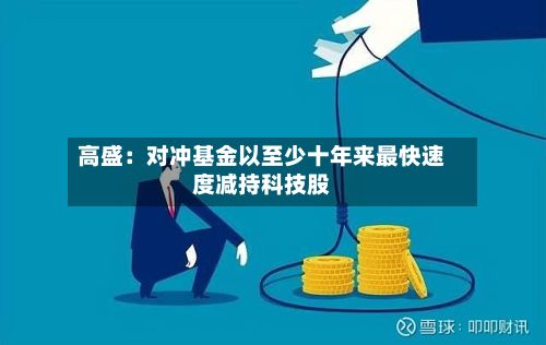 高盛:对冲基金以至少十年来最快速度减持科技股-第2张图片