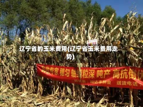 辽宁省的玉米费用(辽宁省玉米费用走势)-第2张图片