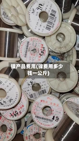 镍产品费用(镍费用多少钱一公斤)