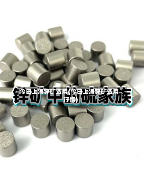 今日上海锌矿费用(今日上海锌矿费用行情)