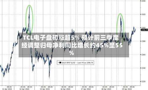TCL电子盘初涨超5% 预计前三季度经调整归母净利同比增长约45%至55%-第1张图片