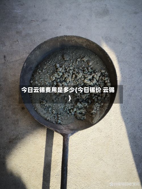 今日云锡费用是多少(今日锡价 云锡)