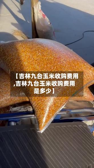 【吉林九台玉米收购费用,吉林九台玉米收购费用是多少】