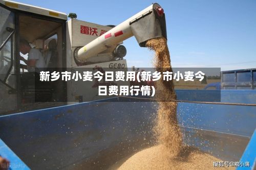 新乡市小麦今日费用(新乡市小麦今日费用行情)