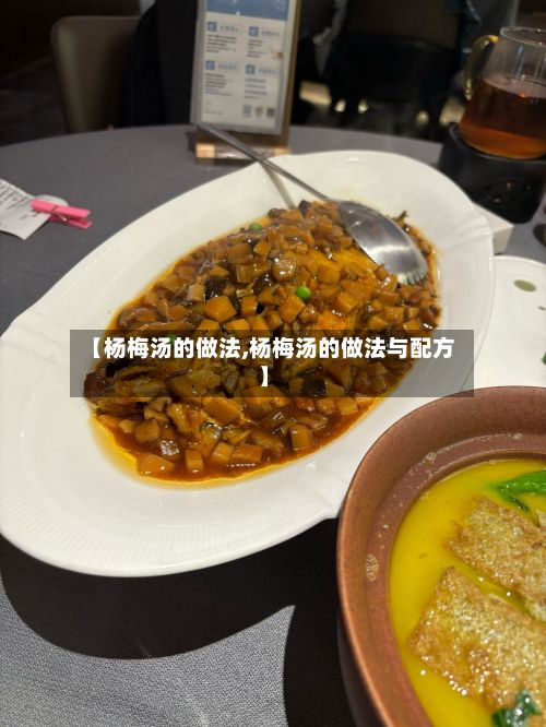 【杨梅汤的做法,杨梅汤的做法与配方】