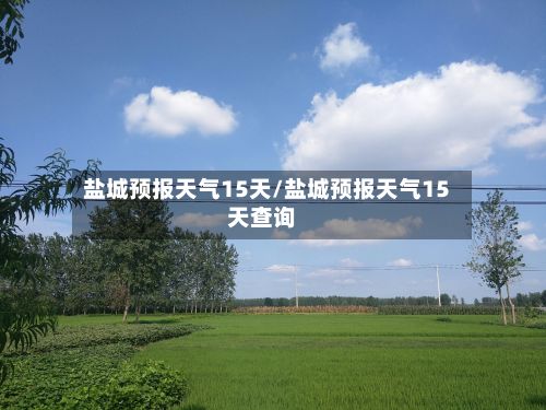 盐城预报天气15天/盐城预报天气15天查询-第2张图片