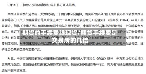 期货的手续费跟现货/期货手续费是交易所的几倍-第2张图片