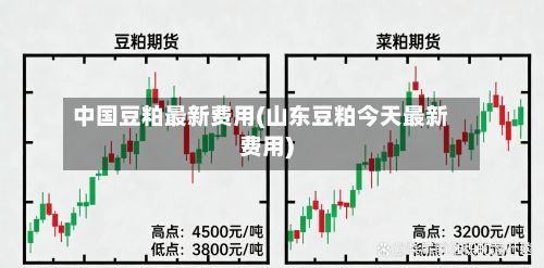 中国豆粕最新费用(山东豆粕今天最新费用)